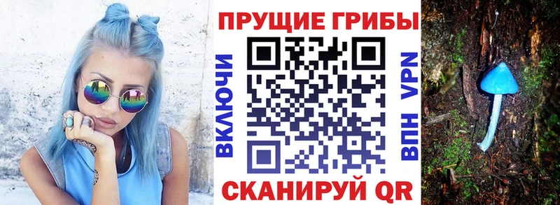 Галлюциногенные грибы Cubensis  omg как зайти  Чернушка 