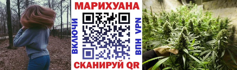 Канабис Amnesia  Чернушка 